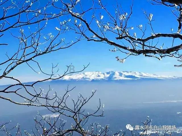 “大胃王”半年瘦了100多斤，什么手术让他判若两人